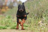 BEAUCERON 370